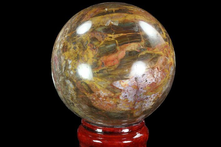 Colorful Petrified Wood Sphere - Madagascar #92998